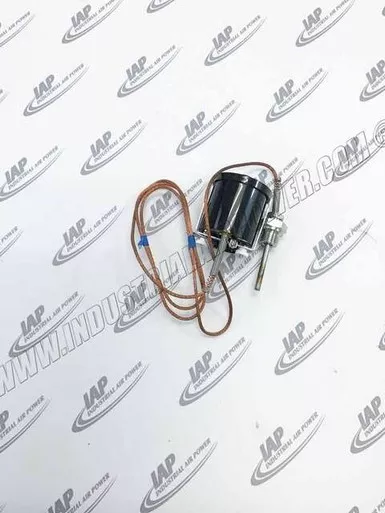 1089-0376-01 Temperature Switch