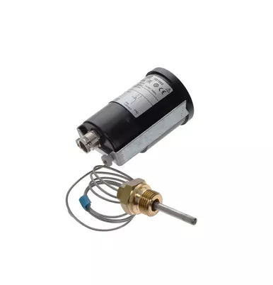 1089-0376-44 Temperature Switch
