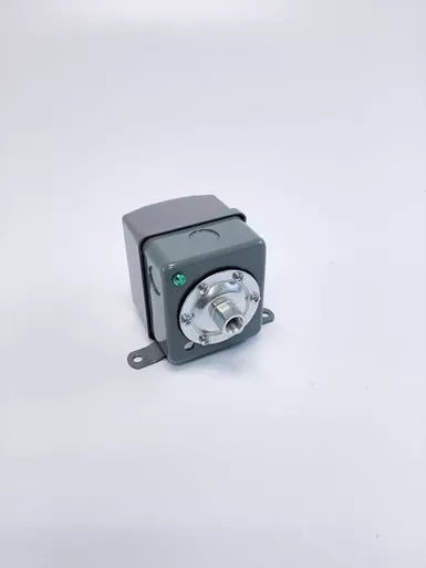 1089-0689-10 Pressure Switch