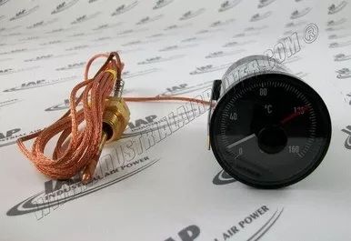 1089-0708-07 Temperature Switch