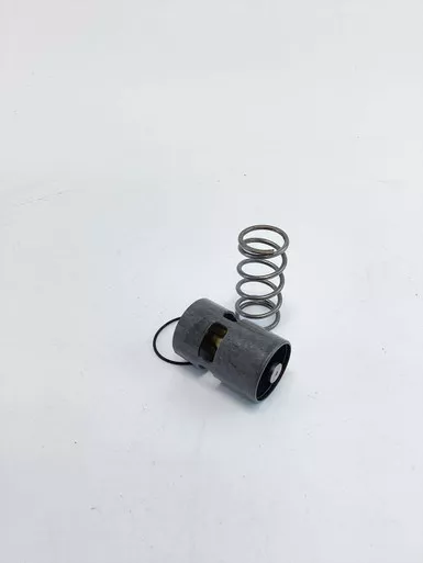 1089-9274-63 Thermostat °C