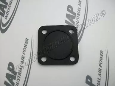1091-0488-00 Membrane