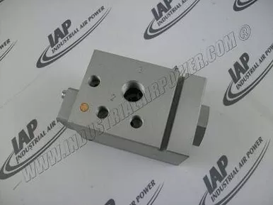 1202-9904-00 Valve-Regulator
