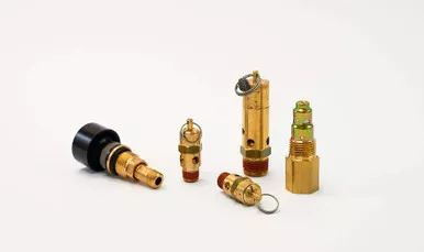 1310-2555-95 Safety Valve