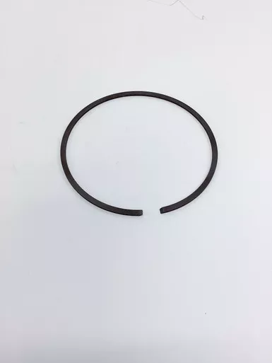 1616-5885-00 Seal Ring