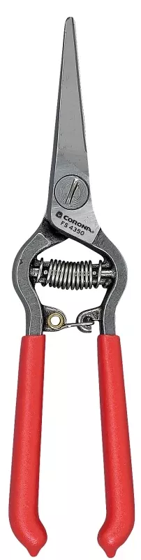Thinning Shear