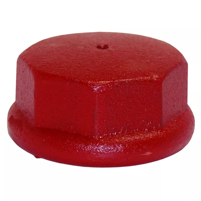 Well Point Drive Cap, Cast Iron, 2-In.